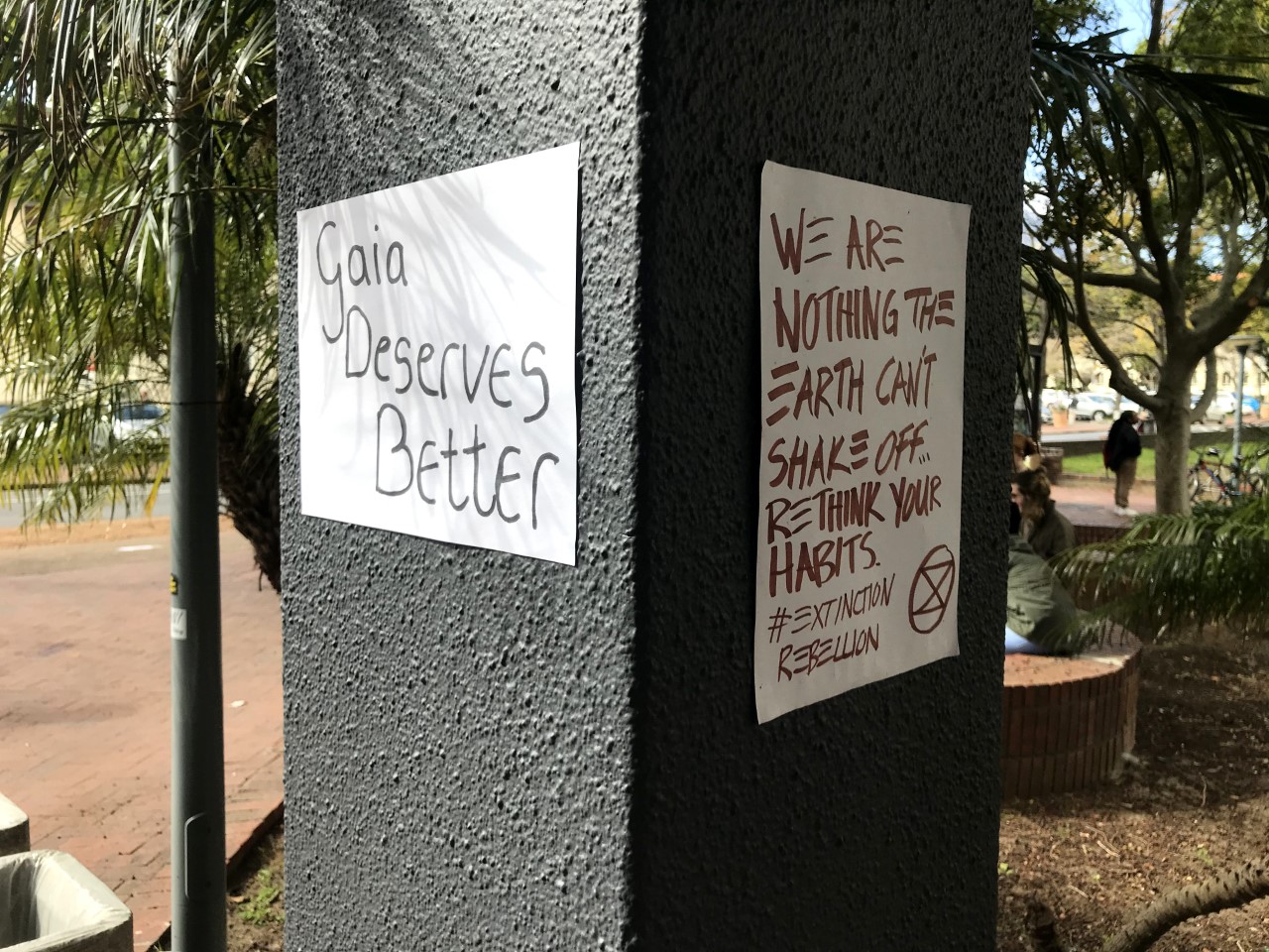 Students Stand up for the Ecosystem