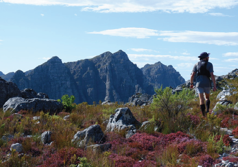 Take a Hike! In Stellenbosch