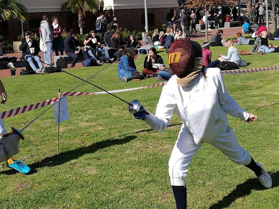Take a stab at fencing