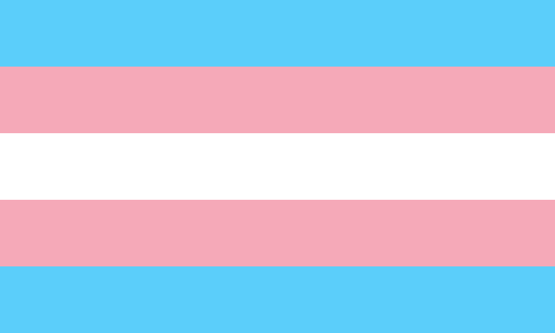 The Trans Athlete Debate—Die Matie’s Sports Editor Weighs In