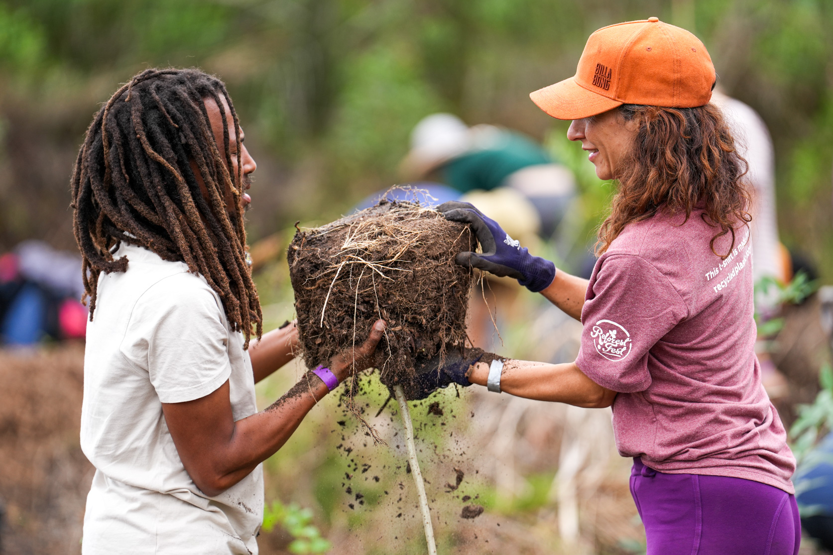 Reforest Fest: A fezzie for the trees