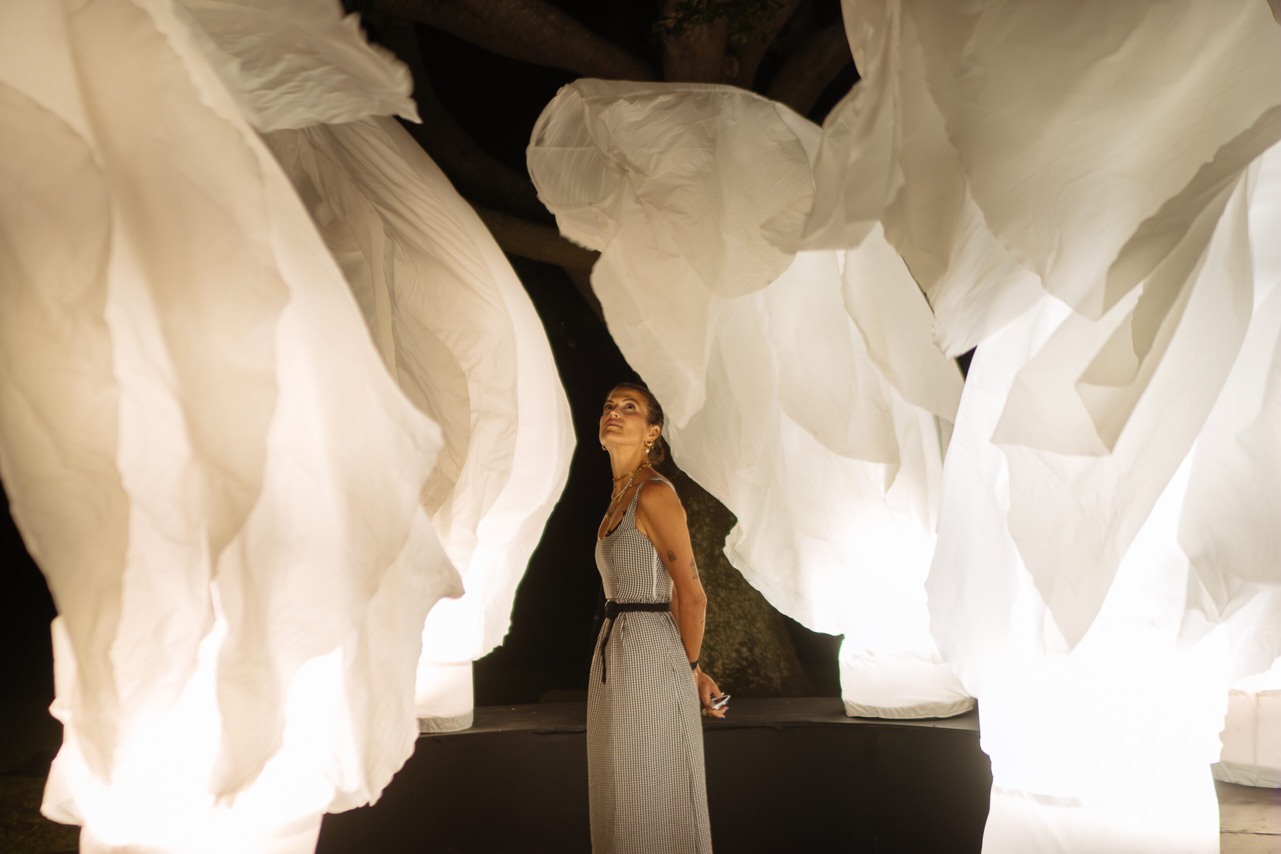 A Night of Light at Spier