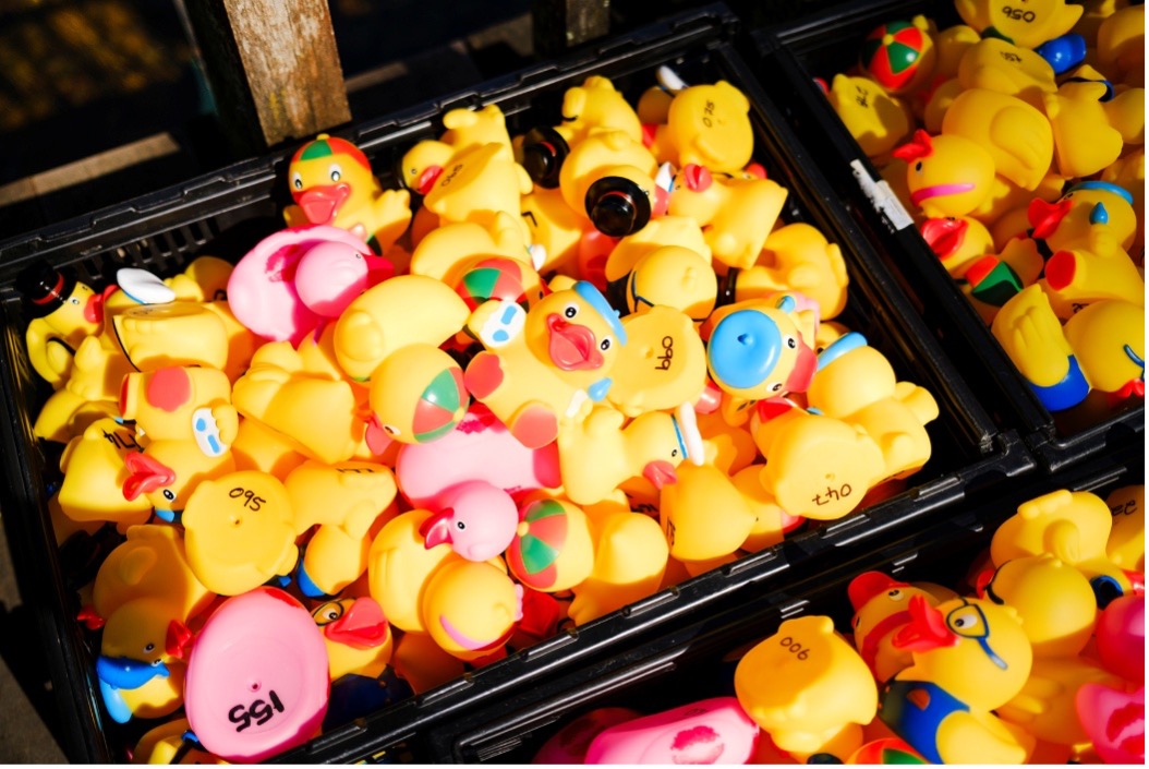 Get your ducks in a row!
