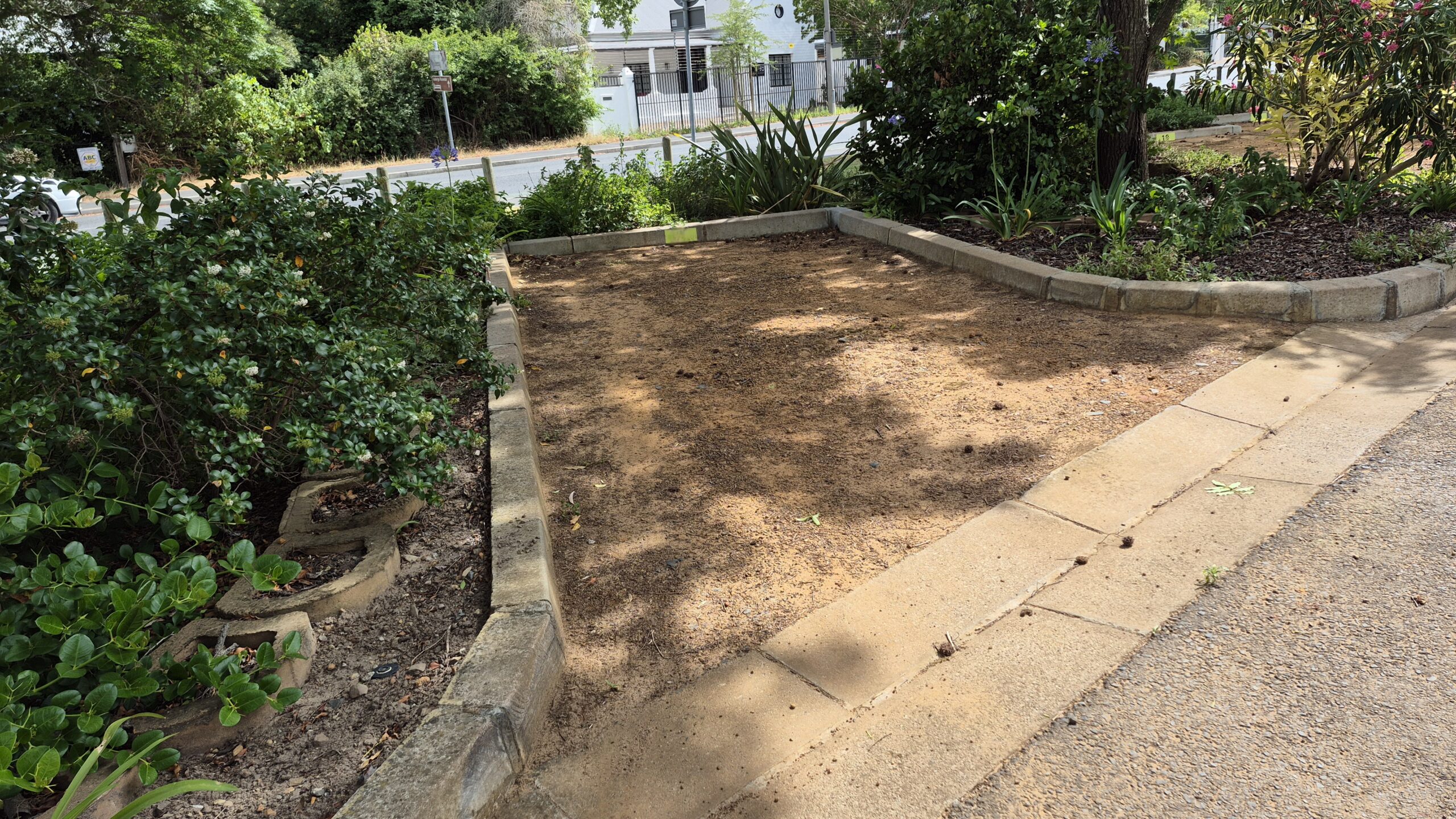 Eendrag car thefts prompt review of vehicle safety on SU campus